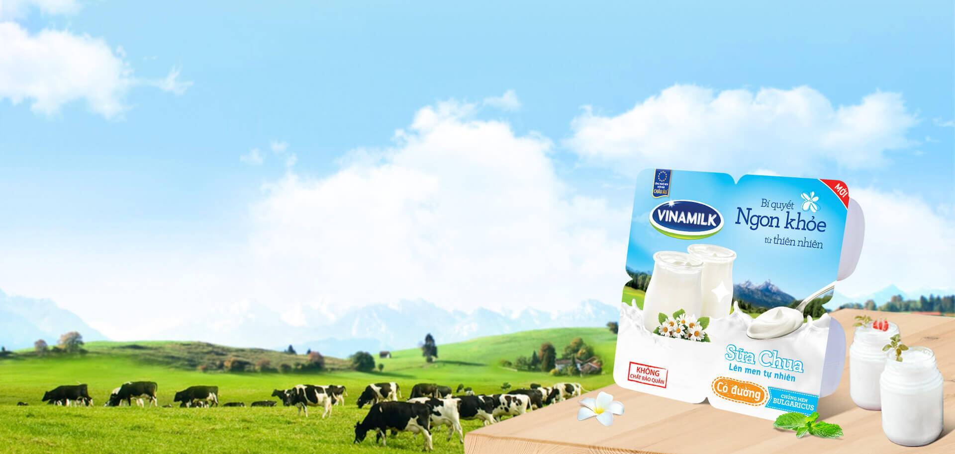 来自自然的美味秘诀