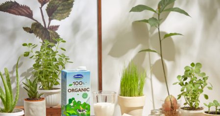 Vinamilk开创了越南生产的首批100％有机鲜奶