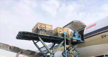 Vinamilk从新西兰进口了第一批A2纯种牛