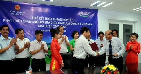 Vinamilk在林同省扩大了奶牛养殖业